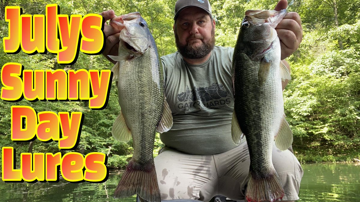 BassGeekFishing's tweet photo. When the suns out leave the guns in but get these baits out!
https://t.co/oC4WvdDP9q
#top3july #top3 #top3baits #bassgeek #bassfishing #basslures #summerfishing #lakelife #BassGeekNation #fishinglures #julyfishing #fishingvideo #bassfishingtips https://t.co/cJgP35hojC