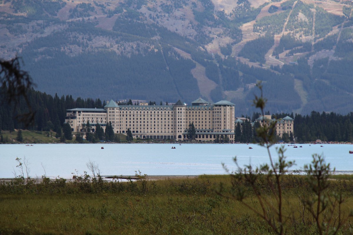 curlingdude's tweet photo. I’ve decided to post pictures from past events.
This is from my trip with @awightman to Lake Louise in Aug 2021. https://t.co/mfHgxuNeA7