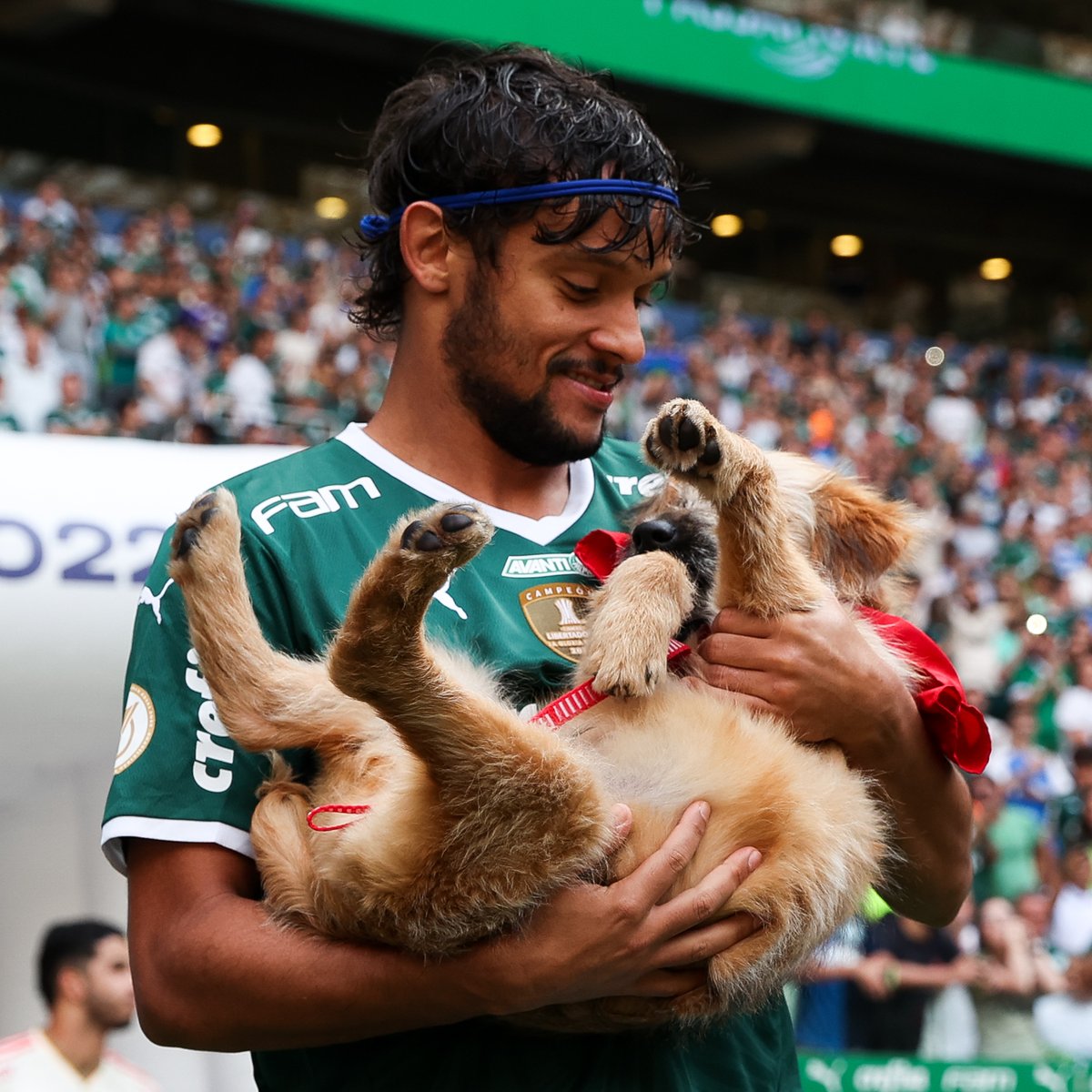VSportsTM's tweet photo. Hermosa campaña de Palmeiras 🇧🇷: los jugadores salieron al partido contra Internacional con cachorros en los brazos para incentivar la adopción de perros 🐶❤️ https://t.co/KR5SsWr1D8