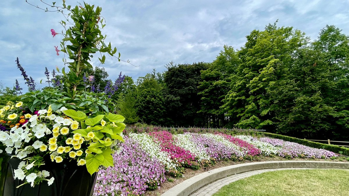 Tanya Carvalho tweet media