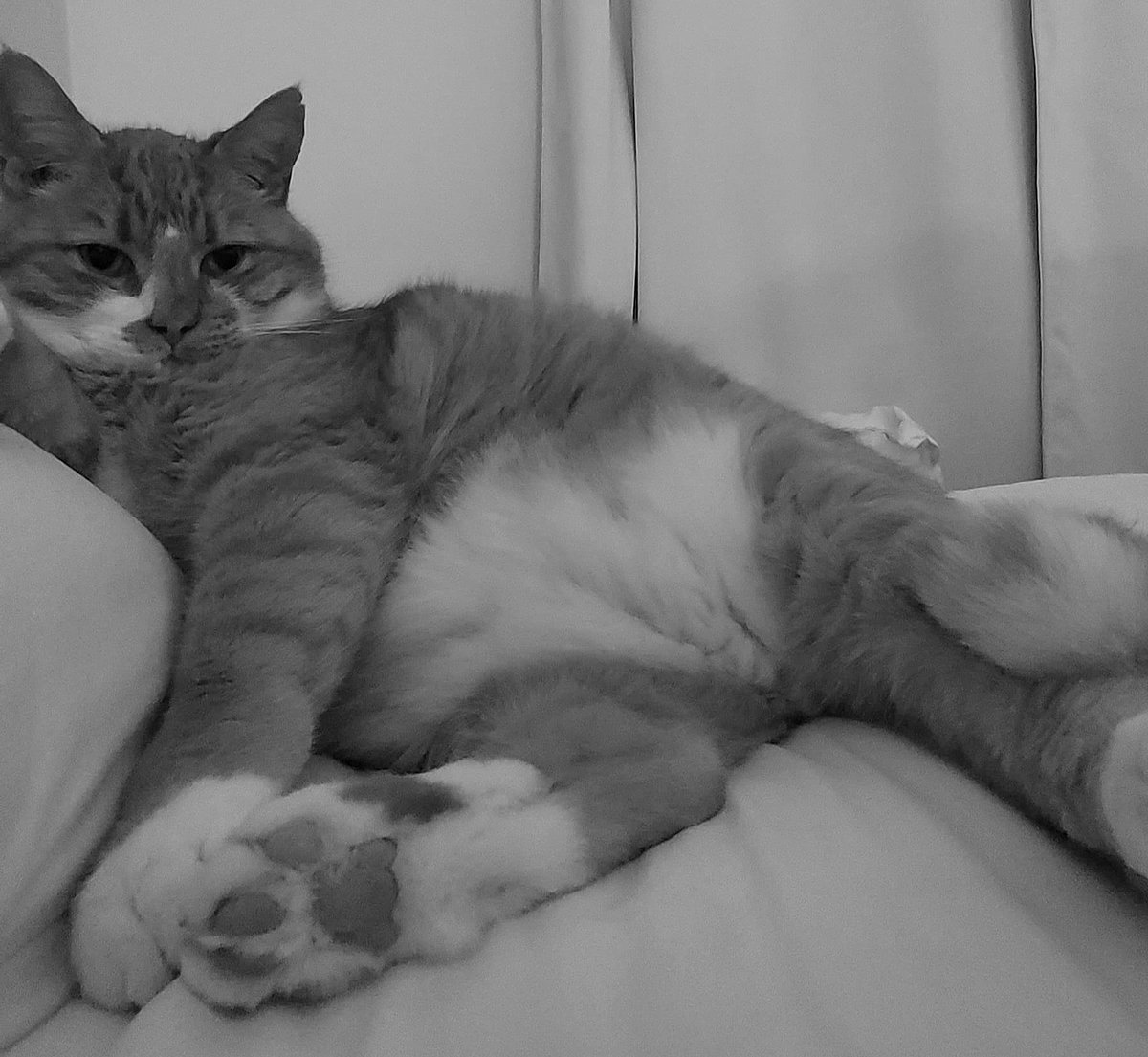 Birgit Lissowsky tweet media