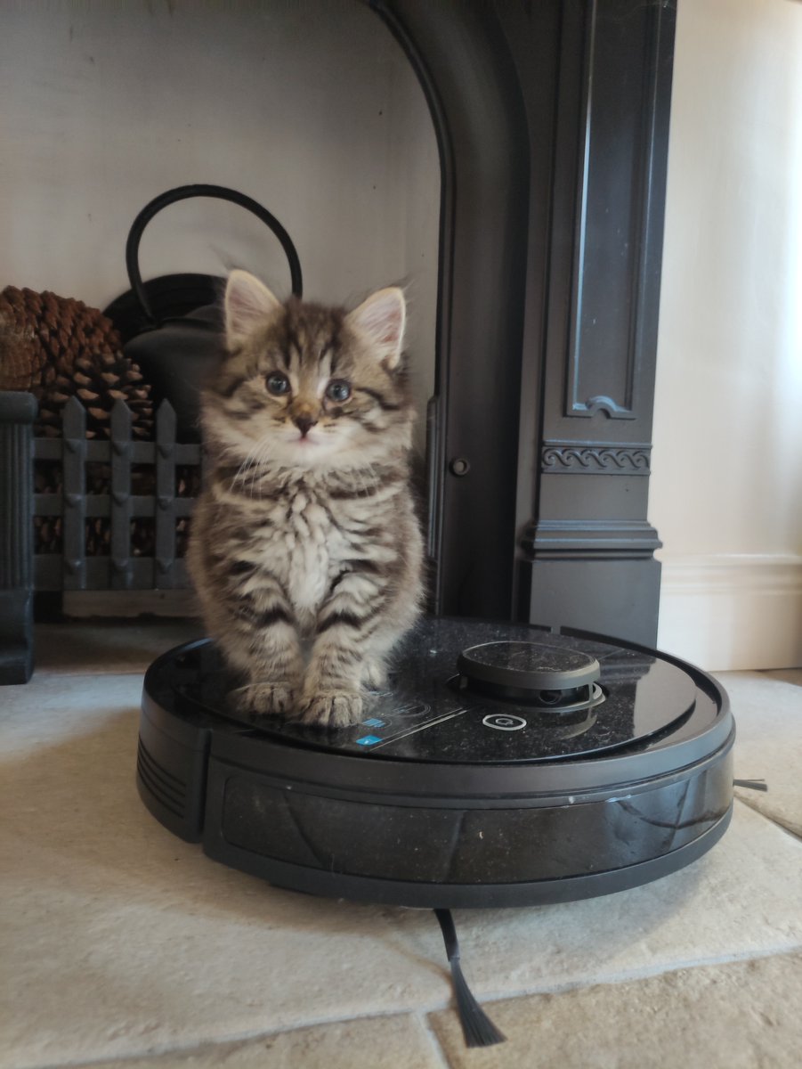 alto_city's tweet photo. #AltoCityNFT #CityOfTheDay is #Dublin #Ireland

Where is cute little SOB we picked up is supposedly from!

I'm a dog person but don't quite have the time so this is our compromise..

Do you approve of its trusty steed?

#NFTCollection #nftart #OpenSeaNFT #EthereumNFTs #NFT https://t.co/e5uM3GHS1r