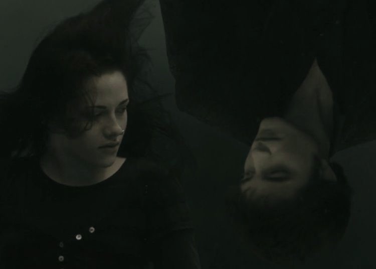 twilight new moon (2009)