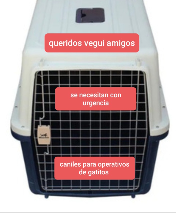 MiPataV69's tweet photo. Queridos: hay un grupo de rescatistas que necesita esterilizar lo antes posible colonias de gatos ferales (de la calle) pedimos con todo cariño si las pueden ayudar prestando cajas de transporte. Se agradece muchísimo la ayuda; esto se hace entre todos🧡🐈🐈
Cel: +569 6238 9735 https://t.co/CYVRSzh37X