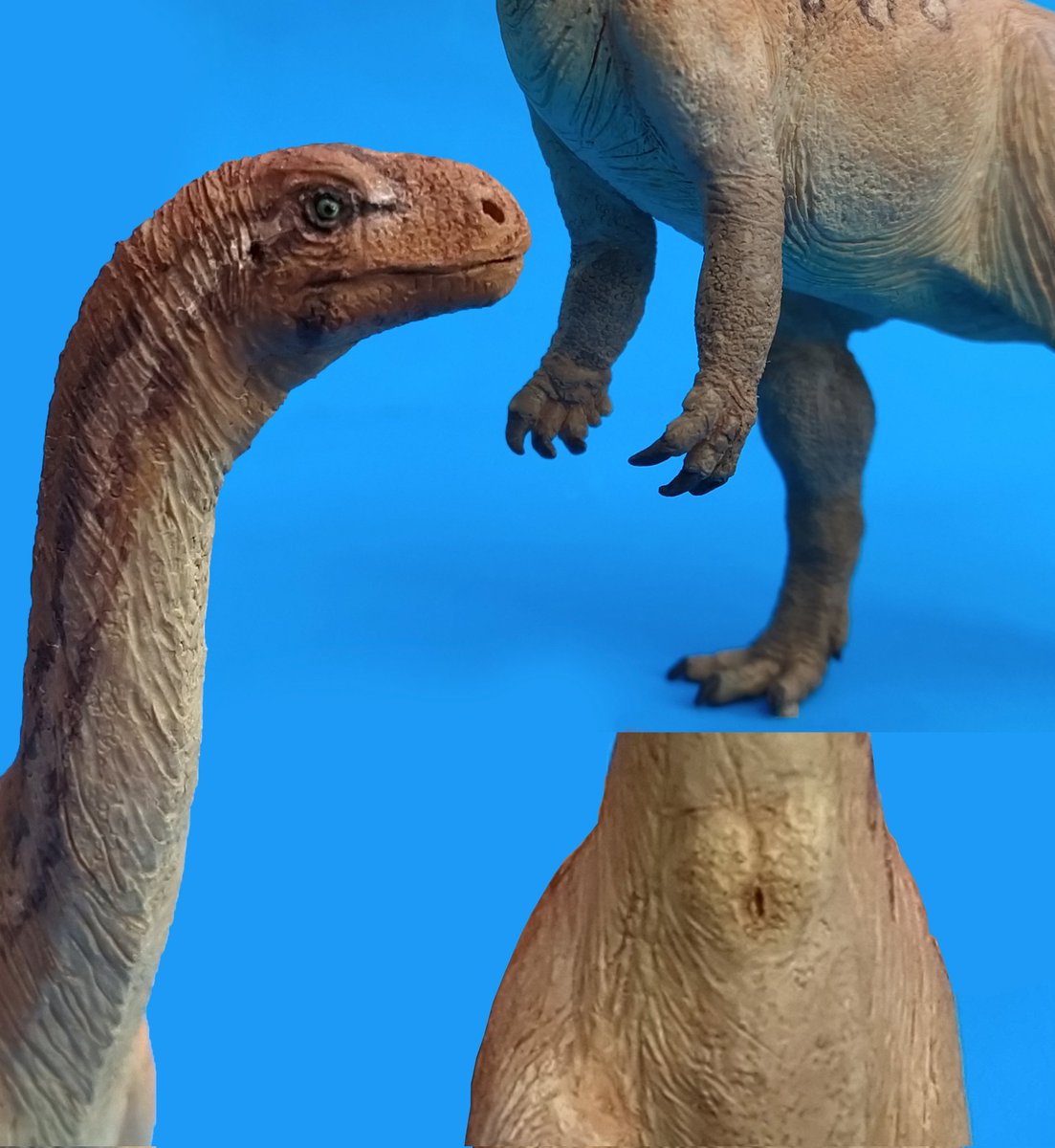 TiempoTitanes's tweet photo. The adult measures: 23.5 cm long x 11.5 cm high, which would be approx. a 6 meter adult in a 1:25 scale. 
Babies are 6 cm long and 1.4 cm tall.
For the proportions I use the skeletal reconstructions proposed by Alejandro Otero et al.
#mussaurus #sculpt #prehistoricplanet #trex https://t.co/LMmKNs2hpC