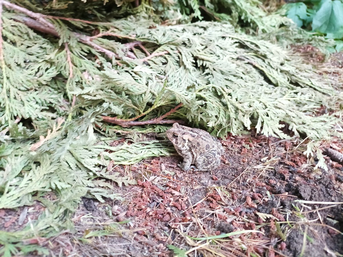 Lunar Archivist on Twitter "RT LunarArchivist Look who I found while