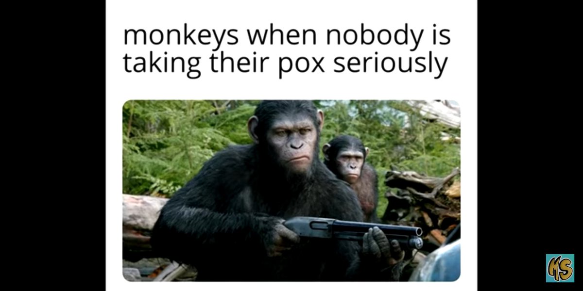 [DAO] #poxxedapes