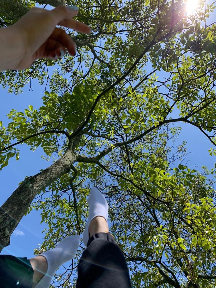 DampiNgomdir's tweet photo. Nature time 🌳🍃🌞🐞🌱 https://t.co/CY71bHE8tS