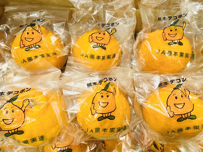 デコポンのtwitterイラスト検索結果