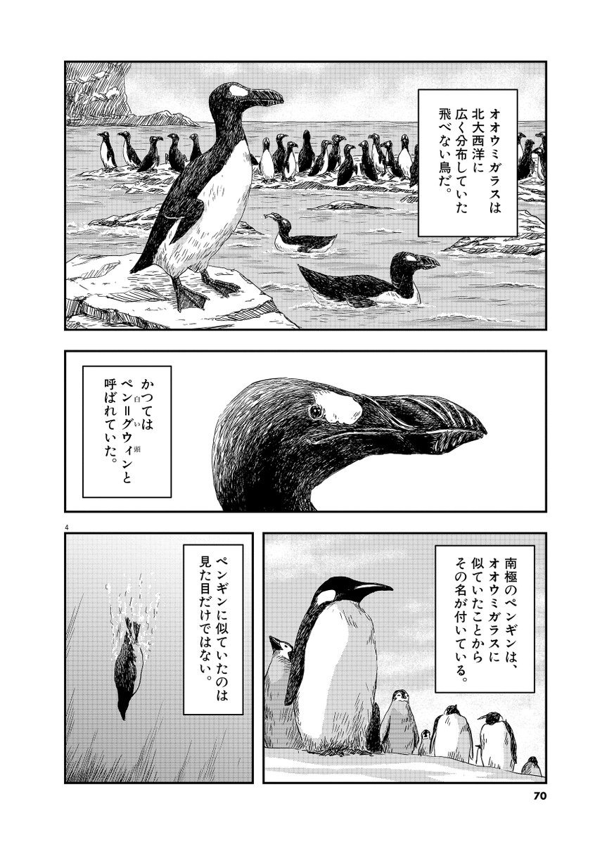 【問題】有名な絶滅動物・オオウミガラスの絶滅を後押ししたと言われる出来事とは?(1/5)

#漫画が読めるハッシュタグ 