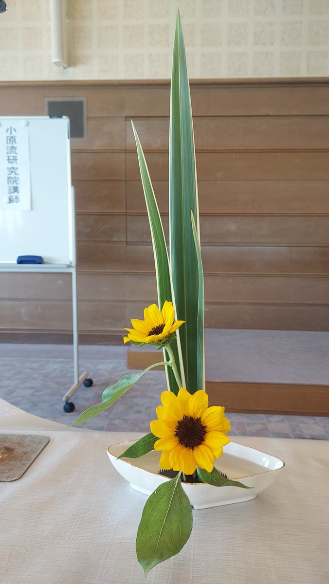 kadaiflower tweet picture