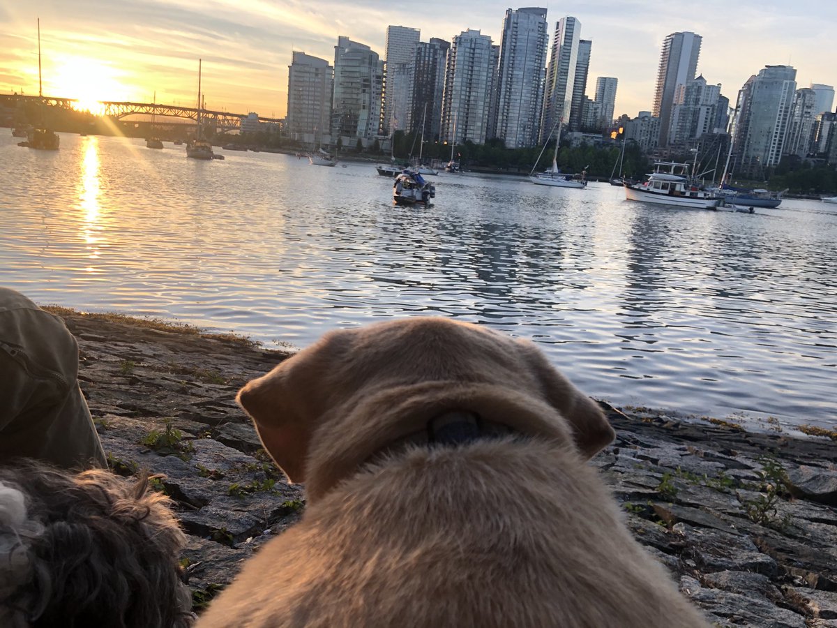 LeDukeDog's tweet photo. One of my very favourite things is watching the sunset. Sun set. Why is that one word? https://t.co/5WFi6exw3r