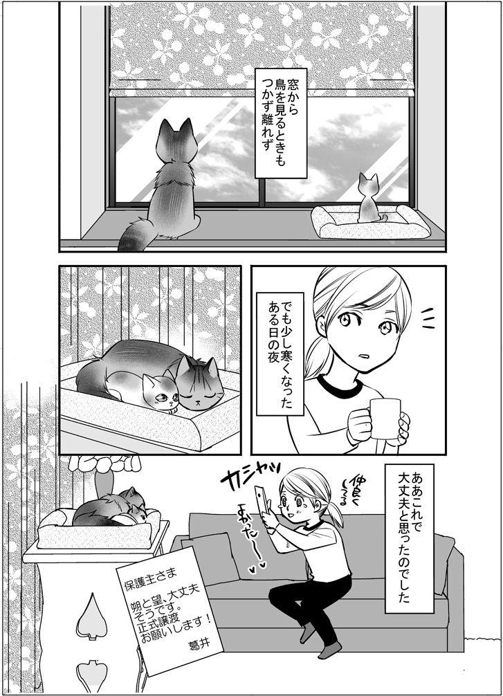 初対面からシャー!もなかった二匹ですが、初めて一緒に寝てるのを見て、感動しました(^^ゞ
相性もあるし、多頭飼いは絶対大丈夫とは言えないけど…
https://t.co/JhmvEIKDQw
#猫がいる暮らし