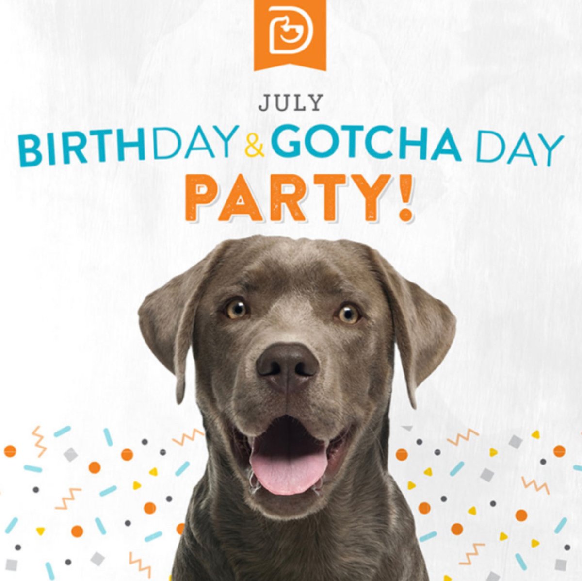 Dog_Daycare's tweet photo. Party time! Time to celebrate all of our July babies! If your pup has a birthday or gotcha' day during the month of July, bring them in for a fun-filled day with all of their best friends! They'll get a special treat and a picture  to take home. https://t.co/RdJoM80vVk