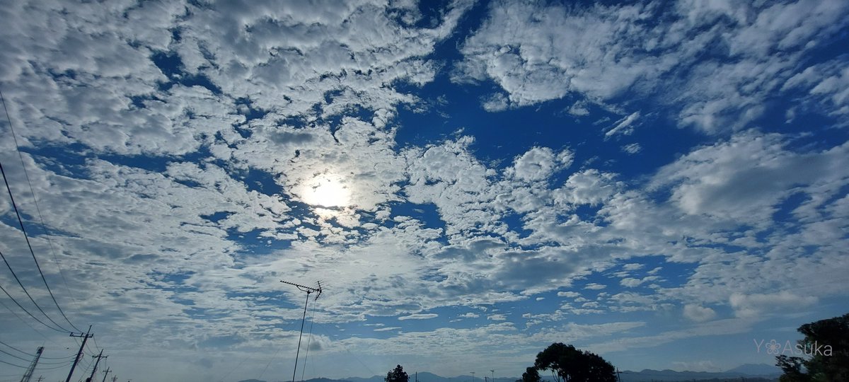 yumeasutw's tweet photo. #青空 に #高積雲 がギュウギュウの月曜日の朝🌥️
お日様の回りが虹色に🏳️🌈✨
予想最高/最低気温🌡️34℃/23℃
晴れ時々曇り☀️/☁️
日差しが強く午後は🌬️➰南風が吹き厳しい暑さとなりそうです☀️😵💦
#空の名前
#雲の教室
#天気の図鑑 #雲友
#彩雲
#イマソラ #いまそら
#a2022 #a0725 #a202207 #a2022075 https://t.co/TpduofJ0Cu