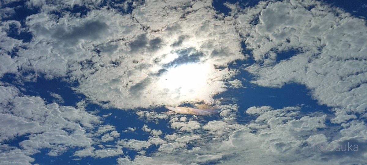 yumeasutw's tweet photo. #青空 に #高積雲 がギュウギュウの月曜日の朝🌥️
お日様の回りが虹色に🏳️🌈✨
予想最高/最低気温🌡️34℃/23℃
晴れ時々曇り☀️/☁️
日差しが強く午後は🌬️➰南風が吹き厳しい暑さとなりそうです☀️😵💦
#空の名前
#雲の教室
#天気の図鑑 #雲友
#彩雲
#イマソラ #いまそら
#a2022 #a0725 #a202207 #a2022075 https://t.co/TpduofJ0Cu