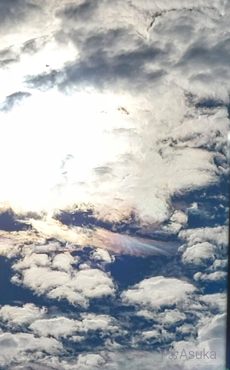 yumeasutw's tweet photo. #青空 に #高積雲 がギュウギュウの月曜日の朝🌥️
お日様の回りが虹色に🏳️🌈✨
予想最高/最低気温🌡️34℃/23℃
晴れ時々曇り☀️/☁️
日差しが強く午後は🌬️➰南風が吹き厳しい暑さとなりそうです☀️😵💦
#空の名前
#雲の教室
#天気の図鑑 #雲友
#彩雲
#イマソラ #いまそら
#a2022 #a0725 #a202207 #a2022075 https://t.co/TpduofJ0Cu