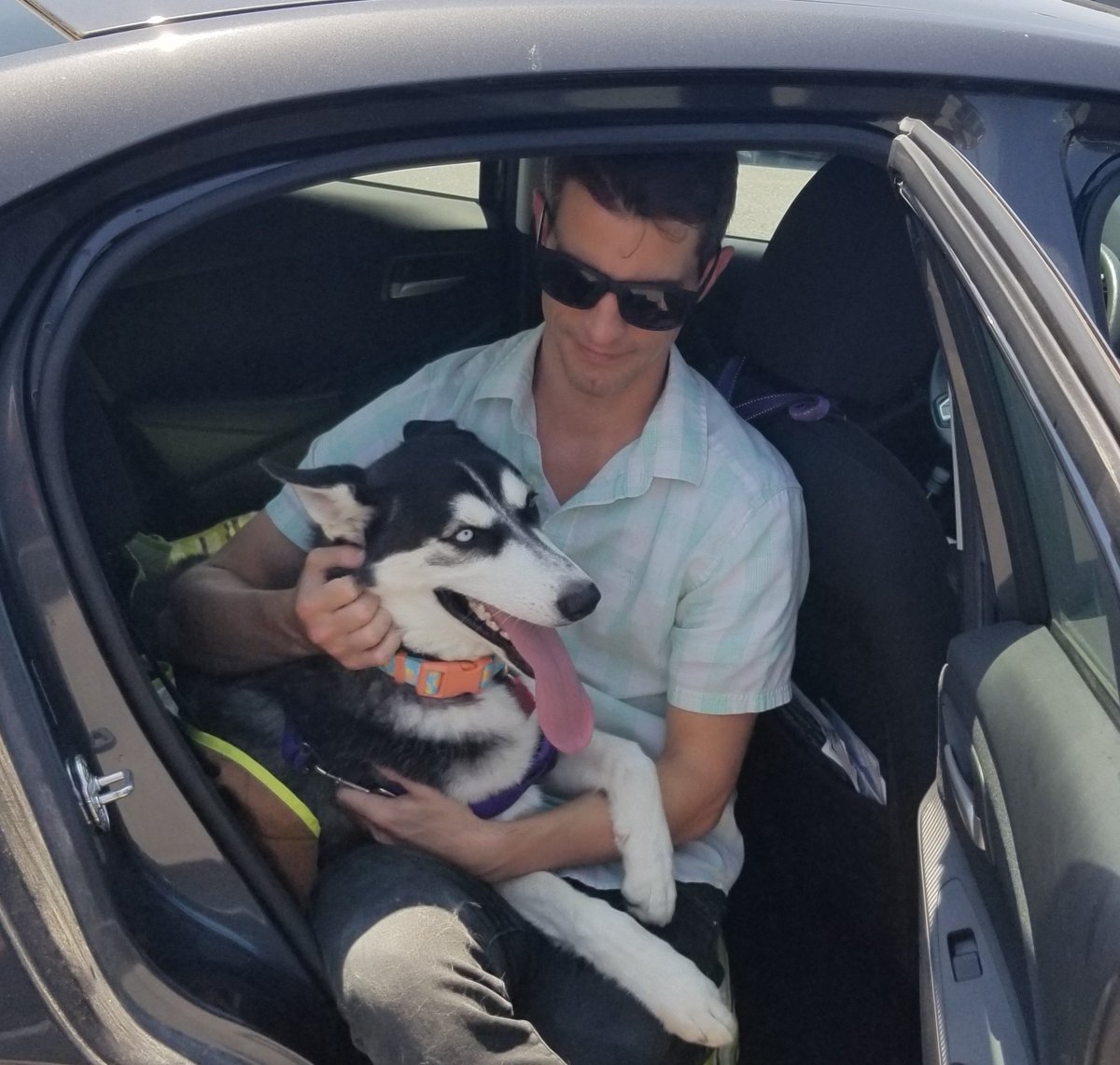 MarleyMud's tweet photo. 41 #RescueDogs on #RescueTransport this weekend from La, Ok, and Ms to Md, Nj, Ct, Me, Nh, and Ma. Some cute #pitties and #lowriders on board this trip!#AdoptDontShop check out all the pictures of these #furbabies on our Facebook page! https://t.co/fOlwAPF4Cj