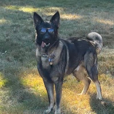 etholk's tweet photo. #NewProfilePic https://t.co/HaErrONq8f