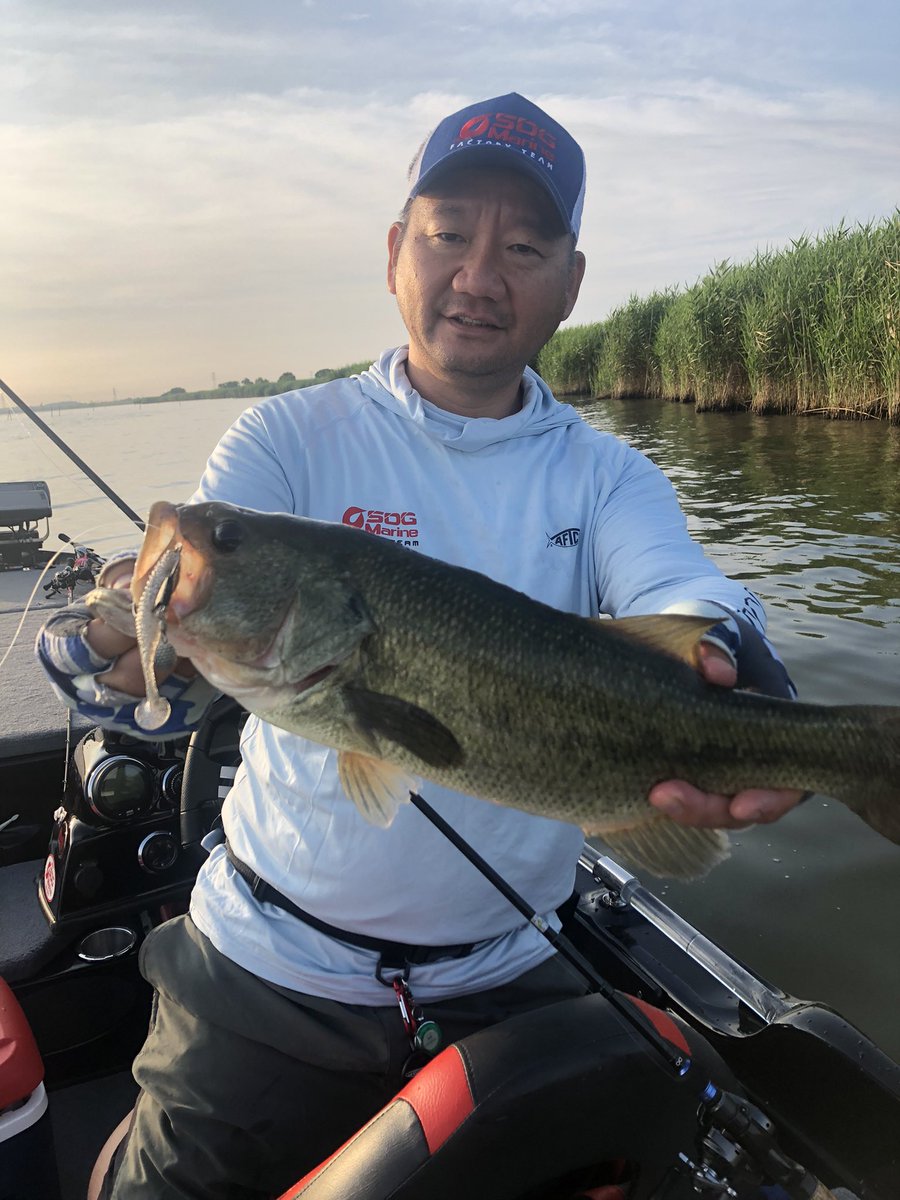 wbsNabeaki's tweet photo. 7月24日に開催されたWBS第4戦の霞ヶ浦戦でのメインタックルをご紹介その①
HUスタッガー3inにDUOのブレード付きジグヘッド3.5gで巻き巻き。減水によりバスがふらふらしていたので広範囲に探れるサーチベイト
ロッド: HIDEUPマッカ HUMC66MST
ライン: 東レ エクスレッド12-13lb
#hideup #exthread https://t.co/xbfKo72GcG