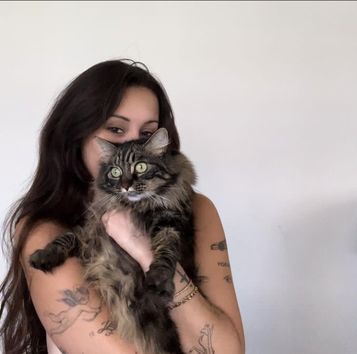 pov: você tem um bom gosto incrível, começou a namorar comigo e essa é sua galeria agora