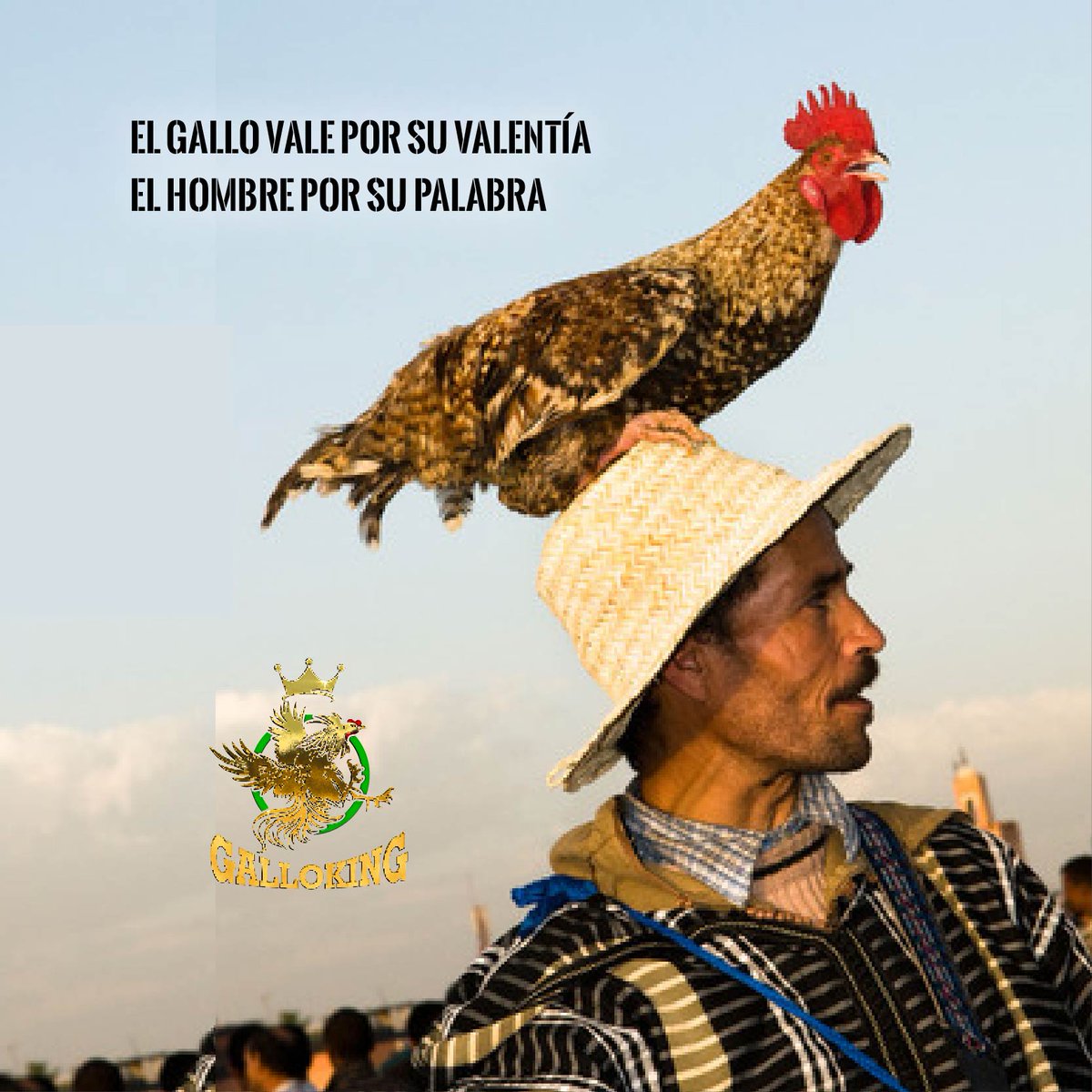 Se requiere mucha valentía para hacer lo que nadie hace y mucha coherencia para comprometerse como una persona de palabra.

🐓 #GalloKingCoin #GalloTraining #GalloLinaaje #GalloFight #GalloFight #Gamefowl
