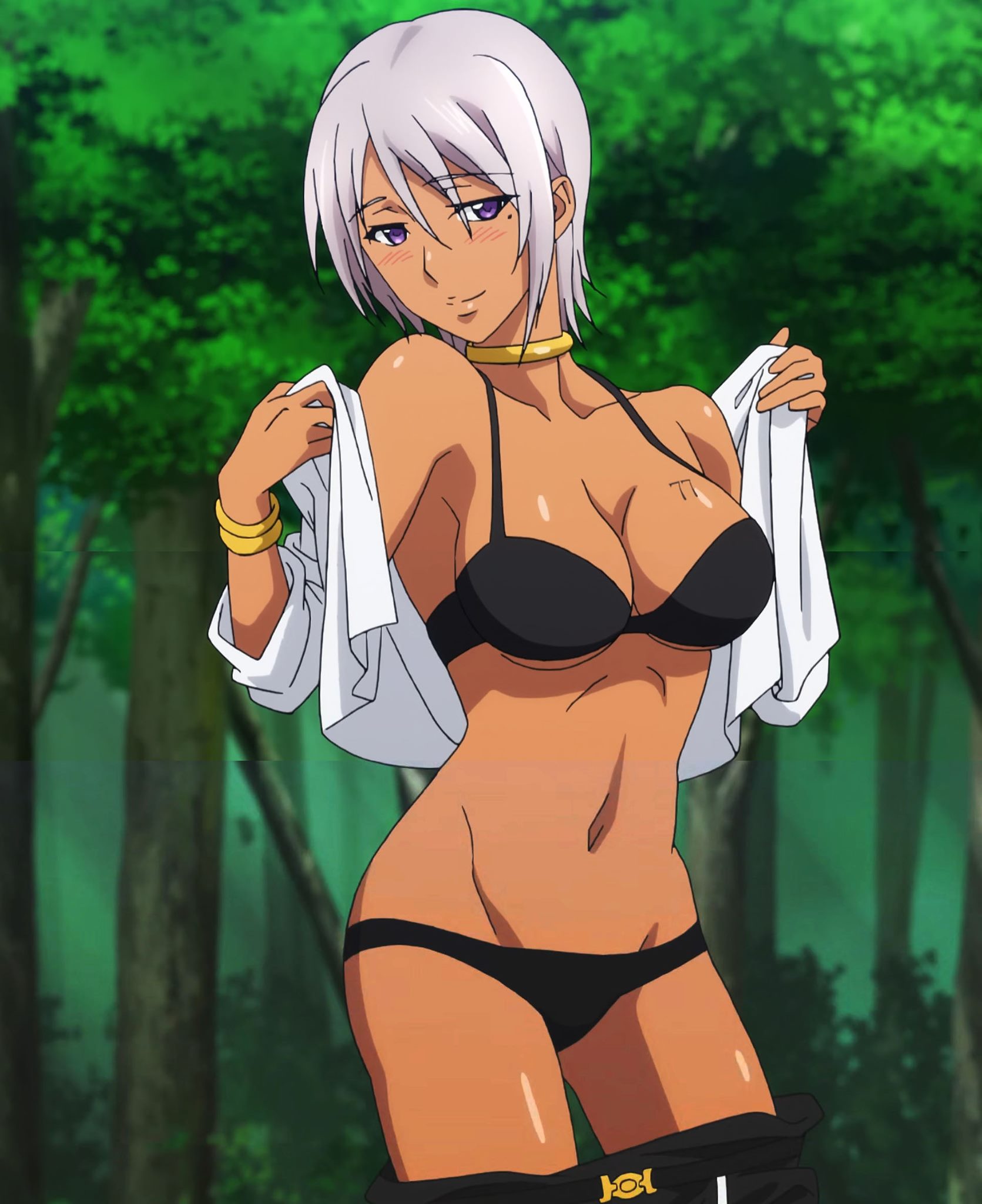 Plunderer anime