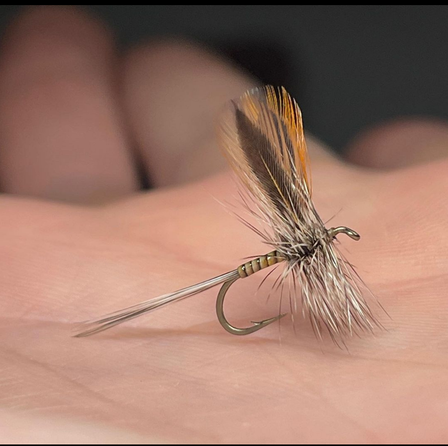 ZZ_Troutski's tweet photo. Beautiful
@ekulstacy
Size 14.
#jsflyfishing #jstockard #jstockardpro #mustadfishing #whitingfarms #dryfly #dryflyfishing #dryflytying #dryflyordie #dryflyonly #dryflypurist #flytying #flytyingjunkie #flytyingaddict #flytyingporn https://t.co/CQYGeq84Tw