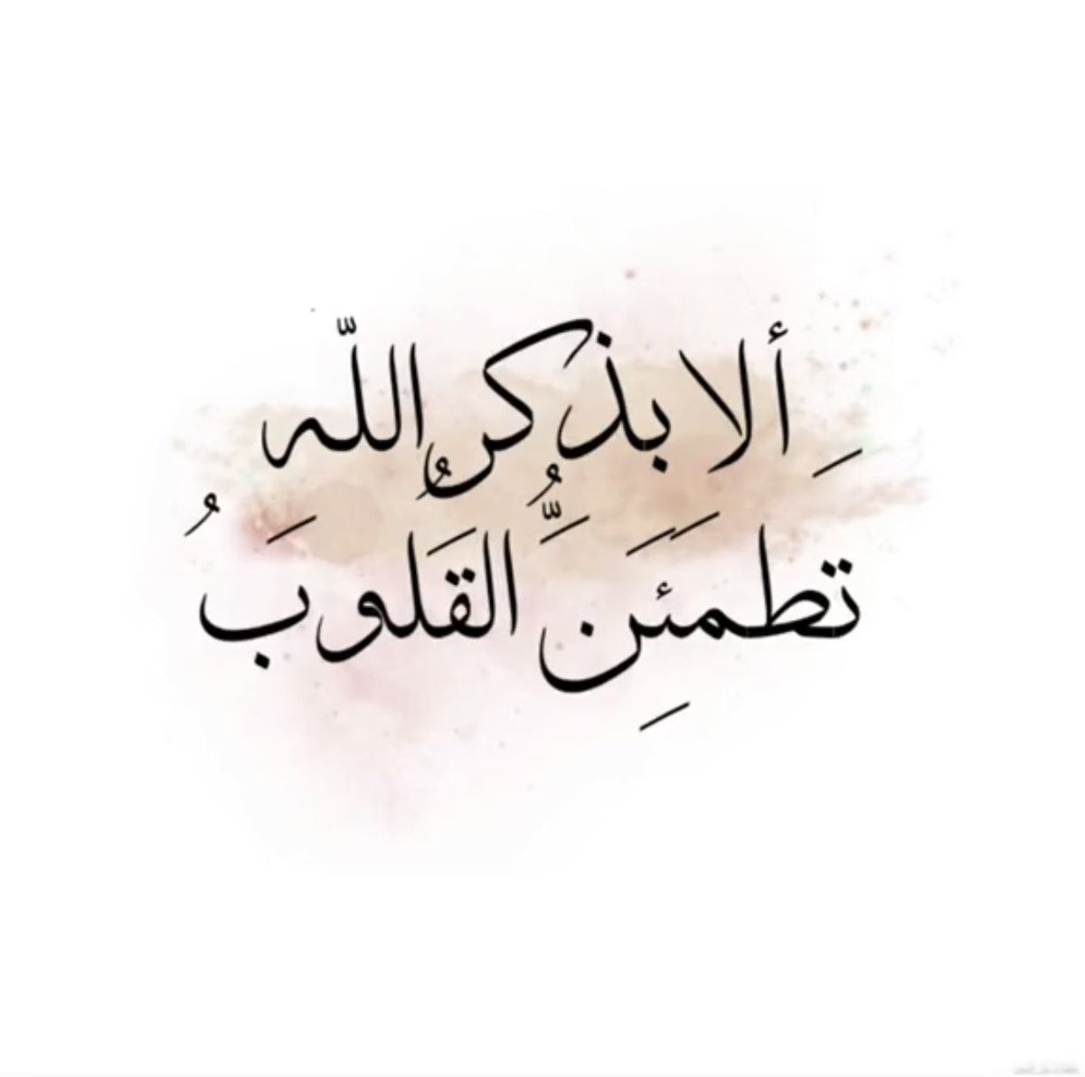 mshwah3511 tweet picture