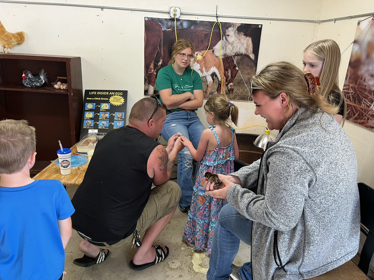 Joe Ramstad tweet media