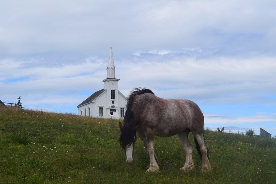 HeatherRankinMe's tweet photo. This is The Highland Village (Baile nan Gàidheal) in Iona. It's an interactive museum and folklife centre that tells stories of the Gaels of #NovaScotia. It's a beautiful spot for a visit. #CapeBreton https://t.co/ZOx2Wcef5x
