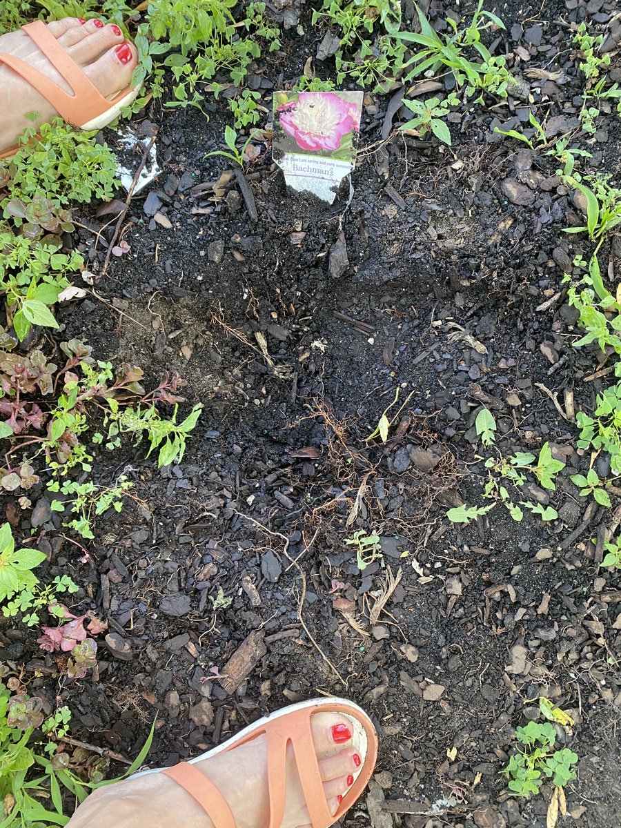 Alix Kendall tweet media