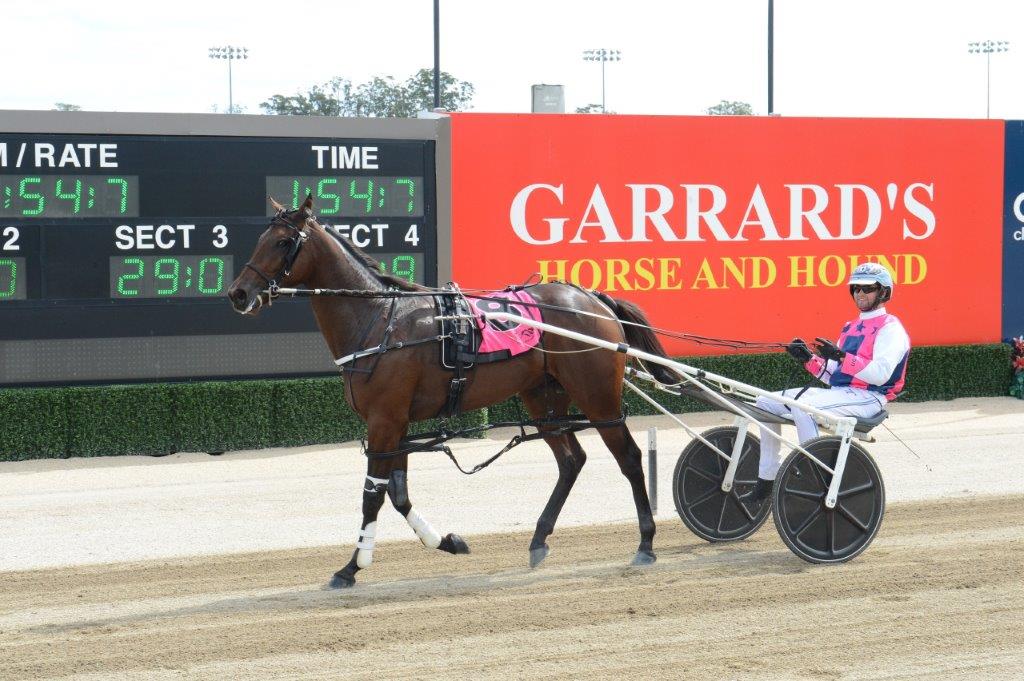 Yirribee Pacing Stud tweet media