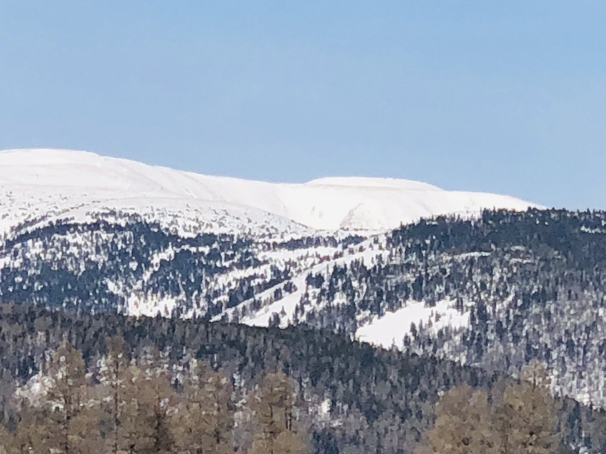 Бэлэгдэл шүтээн болдог.