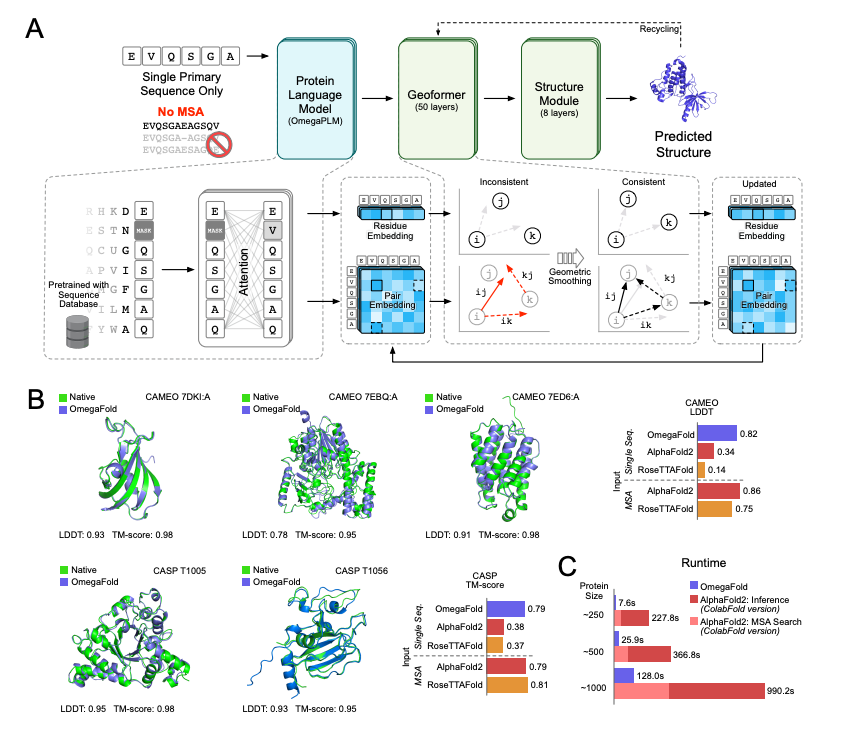 KevinKaichuang's tweet photo. A new protein language model adapted for structure prediction (OmegaPLM) and a new single-sequence structure predictor (OmegaFold) that takes OmegaPLM embeddings as input.
@peng_illinois
https://t.co/RSycCkQZR4 https://t.co/nHRc56hVJI