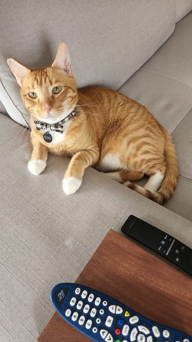 SaturnoAzad tweet media