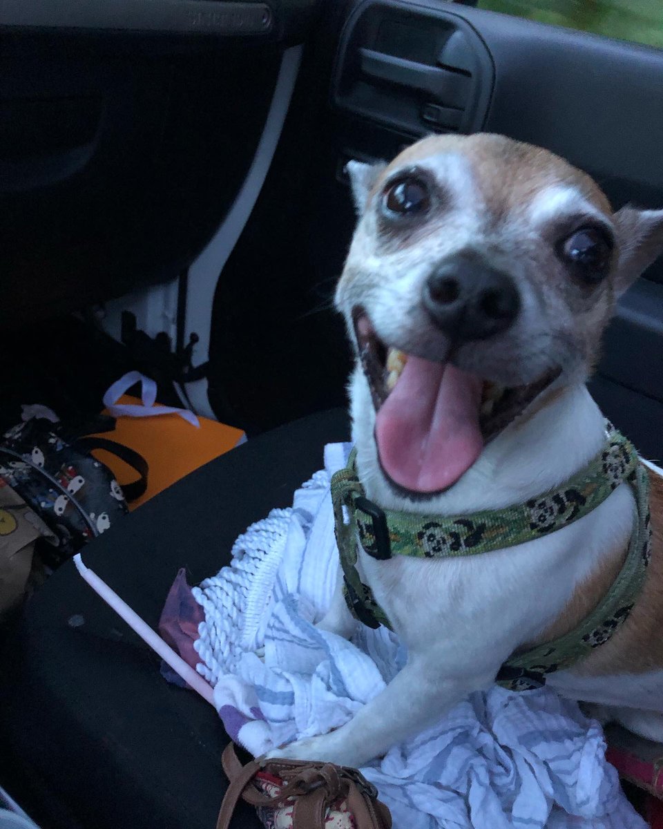 miss atomic bomb tweet media