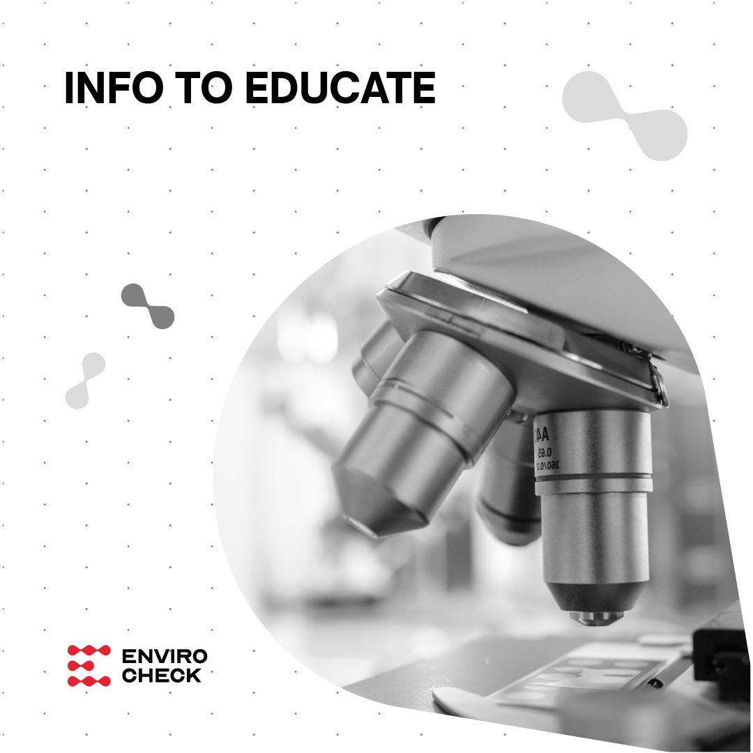More than test results: our inspection, reporting, and consulting practices are designed to give you access to insights.