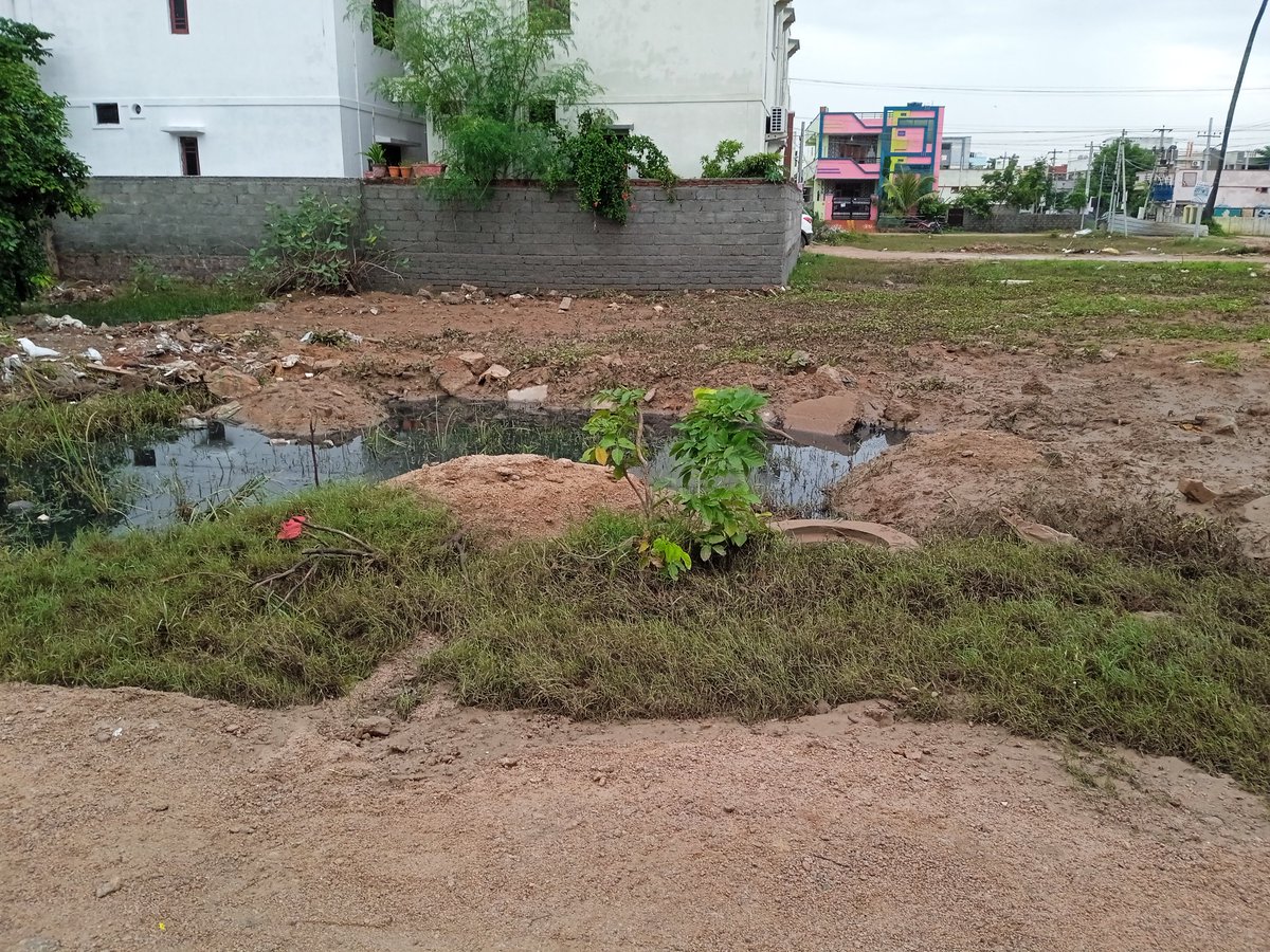 SAllikesam's tweet photo. @KTRTRS @KTR_News @KTRoffice @mc_dammaiguda Respected team..FYI.MLR/LSR/Indira Prabha/Anjanadri/Dammaiguda cheruvu near by colonies / surrounding area Roads condition. Public faced lot issues yesterday to visit maissama temple.why don't u spend wisely and rectify the said areas. https://t.co/nAQlZoNqFk