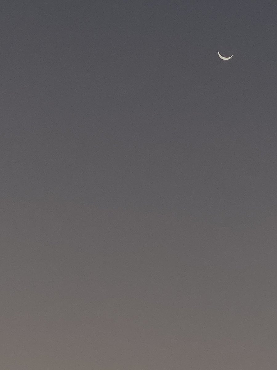M2lshamr's tweet photo. 4:52AM🌙 https://t.co/FB09FV7cYw