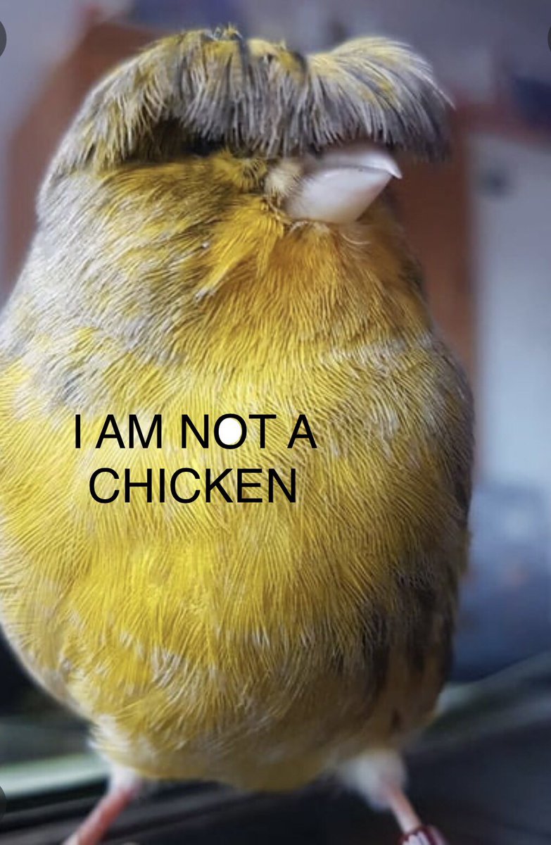 rachdev03's tweet image. Just to make it perfectly clear….