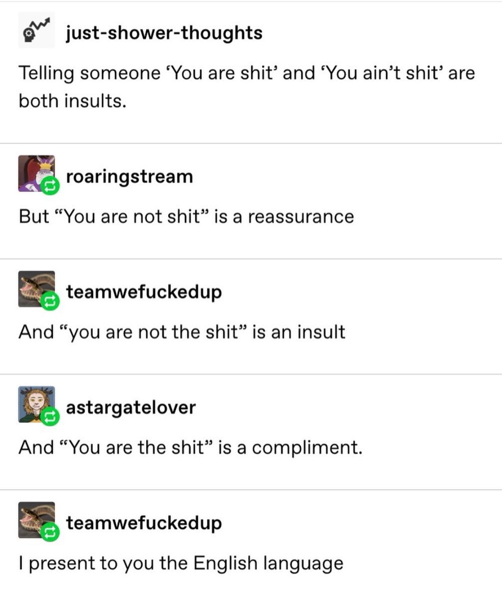 The Layman's Linguist tweet media