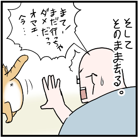 ミュウくんをブラッシングしてたらまさかの変化!?笑
 #ニャンコ #まんが #猫 #猫あるある #猫漫画 #ペット #飼い主 #エッセイ漫画 #キャット #ねこのいる生活 #4コマ 