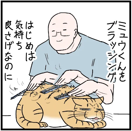 ミュウくんをブラッシングしてたらまさかの変化!?笑
 #ニャンコ #まんが #猫 #猫あるある #猫漫画 #ペット #飼い主 #エッセイ漫画 #キャット #ねこのいる生活 #4コマ 