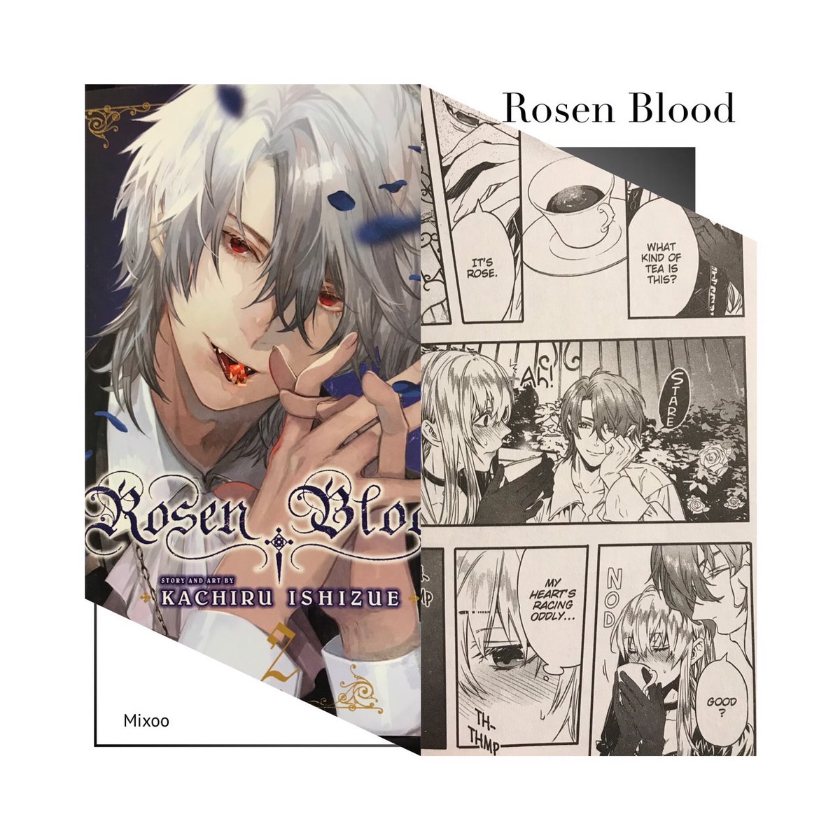 RosenBlood英語版②巻とフランス語版③巻頂きました🌹✨
②巻の「はやく…はやく…」のシーンが「HURRY…PLEASE HURRY…」で2回目にplease入ってるのが良いとおもいました
#RosenBlood 