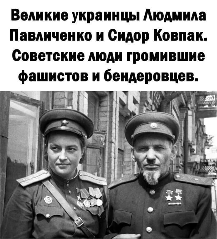 Настоящий герой всегда. Настоящие герои Украины. Настоящие герои. Вот настоящие герои. Украинцы герои Великой Отечественной войны.