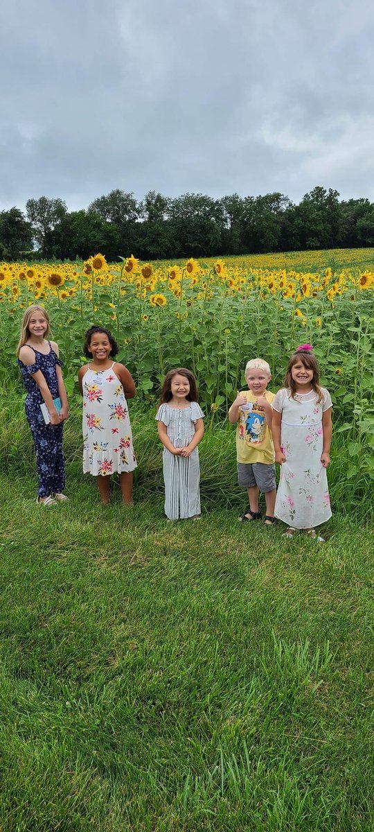 Sunflowers are blooming at New Life Bible Church!  2285 N Hoisington Road Pecatonica, IL (Route 20 between Winnebago and Pecatonica)
