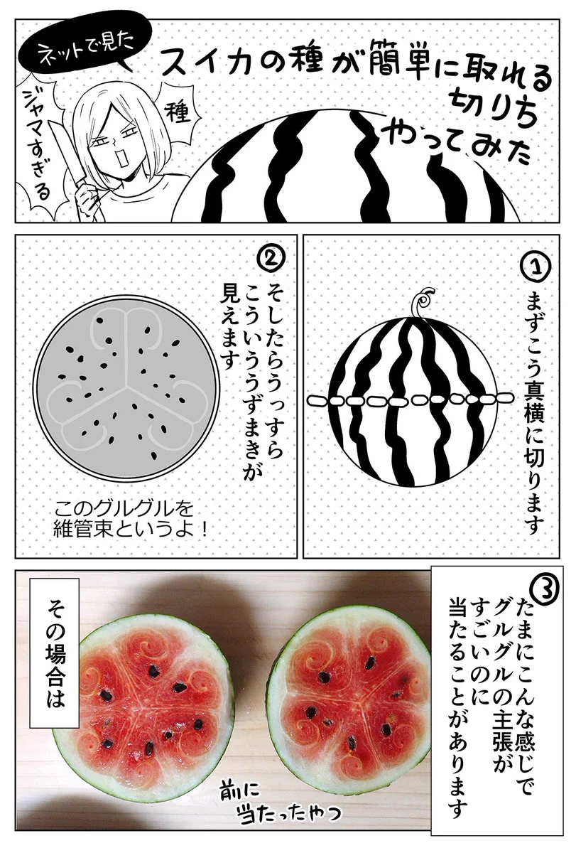 覚えておきたい！スイカの種が簡単に取れるという切り方を漫画にして紹介したツイートが話題に！