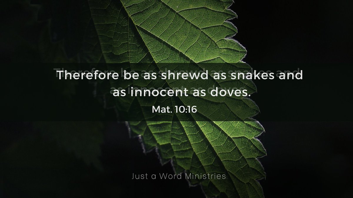 UMatterToGod's tweet image. #serpentshrewdness #wisdominchrist #godiswise #JesusChrist #Intelligence #justawordministries