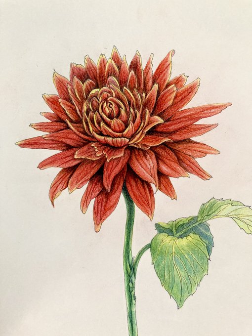 お花の絵のtwitterイラスト検索結果